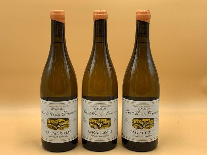 2024 Pascal Cotat  Les Monts Damnés Sancerre - Loire - 3, Verzamelen, Wijnen