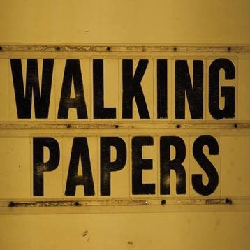 cd - Walking Papers - WP2, Verzenden, Zo goed als nieuw