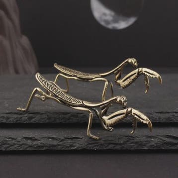 Miniatuur Koperen Insect Beeldjes: Bidsprinkhaan, Libelle, B, Verzenden, Nieuw