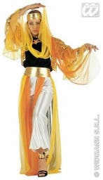 Geklede Harem danseres luxe, Ophalen of Verzenden, Nieuw