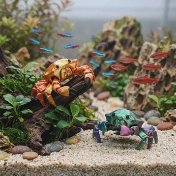 Flexibele 3D Geprinte Krab Speelgoed met Beweegbare Gewricht