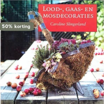 LOOD-, GAAS- EN MOSDECORATIES - C. Slingerland 9789021330785, Verzenden, Gelezen, C. Slingerland