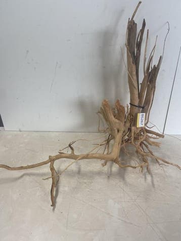 Boutique Stump Selected BS267 70x60x35cm (Natuurlijk hout), Ophalen of Verzenden, Nieuw, Plant(en), Steen of Hout
