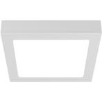LED Paneel Slim Opbouw - Brinton Thin - 24W 2400lm 120°, Ophalen of Verzenden, Nieuw, Minder dan 50 watt, Lamp met armatuur