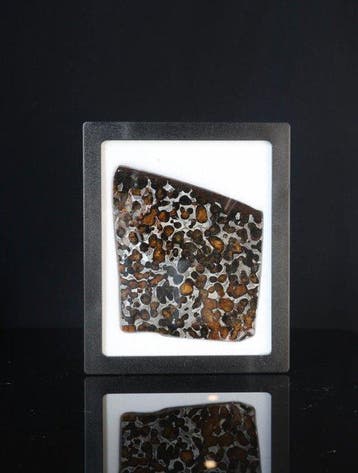 Sericho meteoriet Pallasiet - 58 g - (1)