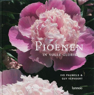Pioenen in volle glorie - G. Vervoort 9789020965070, Verzenden, Zo goed als nieuw, G. Vervoort