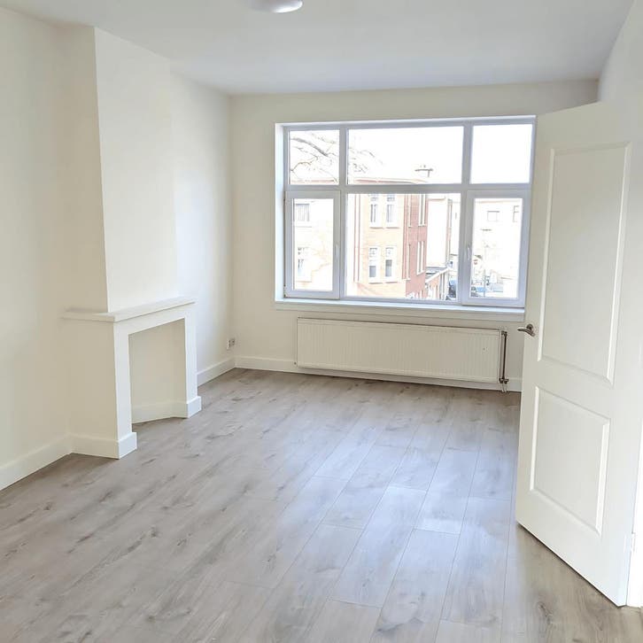 Appartement in Den Haag gevonden voor €1250,- pm, Huizen en Kamers, Huizen te huur, Direct bij eigenaar, Den Haag, Appartement