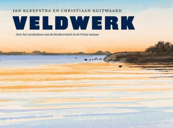 Veldwerk 9789492052629 Jan Kleefstra, Verzenden, Gelezen, Jan Kleefstra