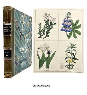 Maund - The Botanic Garden Vol. VII - 1835