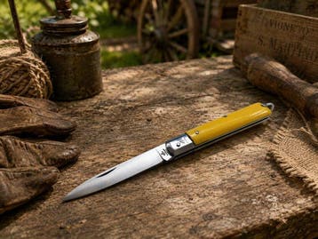 Fraraccio Coltello Fraraccio Sfilato Tascabile 19 cm – ABS