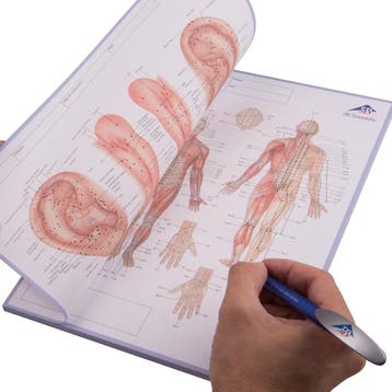 Acupunctuur meridianen kladblok, Engels, 5 stuks, Nieuw