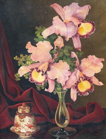Joan Baptist Nicolas Van Gent (1891-1974) - Stillife Orchids