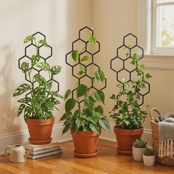 2x Honingraat Plantenrek - Stevig & Roestvrij Plastic Klimre, Verzenden, Nieuw