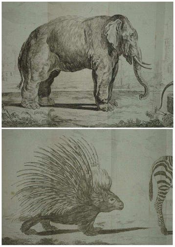 Gaspard Guillard de Beaurieu - Cours dhistoire naturelle ou