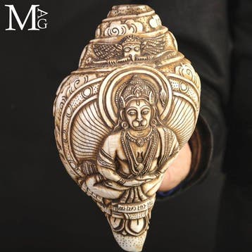 Antieke Hindu Shankha-schelp - Handgesneden snijwerk