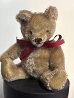 Steiff: Original Teddybeer, 1950-1960, 16-17cm, met Steiff