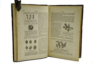 Dr J.-A. Fort - Traité élémentaire dHistologie - 1873