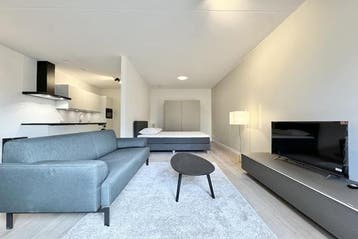 Studio Lutonhof in Amsterdam, Huizen en Kamers, 50 m² of meer, Amsterdam