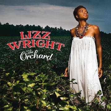 cd - Lizz Wright - The Orchard, Verzenden, Zo goed als nieuw