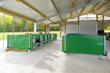 Zijwand (gesloten)  voor groene Patura kalverbox