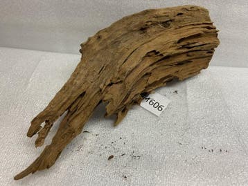 Am 606 Fine Sinkingwood 35x15x8 cm aquarium decoratie hout, Verzenden, Nieuw, Plant(en), Steen of Hout