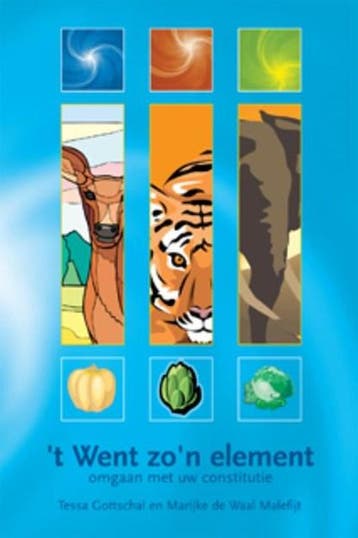 t Went zon element | 9789063789121 | Tessa Gottschal ;, Boeken, Ophalen of Verzenden, Zo goed als nieuw, Tessa Gottschal ; Marijke de Waal Malefijt