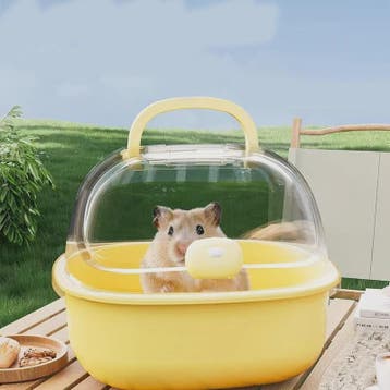 Draagbare Transparante Reiskooi voor Hamsters en Kleine Dier, Verzenden, Nieuw