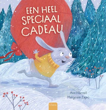 Een heel speciaal cadeau (9789044847154, Ann Harrell), Boeken, Verzenden, Nieuw