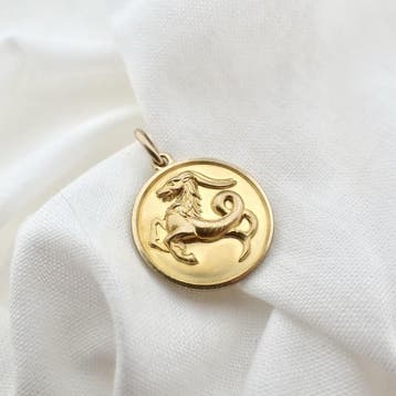 Gouden sterrenbeeld hanger; Steenbok. (Hanger of bedel), Ophalen of Verzenden, Gebruikt, Goud, Overige merken