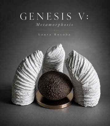 Laura Rucoba - GENESIS V: Metamorphosis