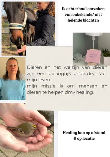 Healing voor dieren gedragsproblemen, ziekte, blessures, Komt aan huis, Paranormale therapie