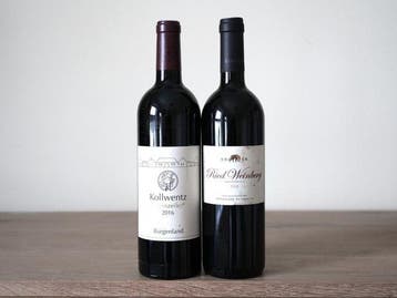 2016 Weingut Kollwentz, Ried Stzeinzeiler & 2018 Weingut, Nieuw