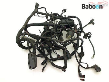 Kabelboom BMW K 1200 R Sport (K1200R) (7704182), Verzenden, Gebruikt