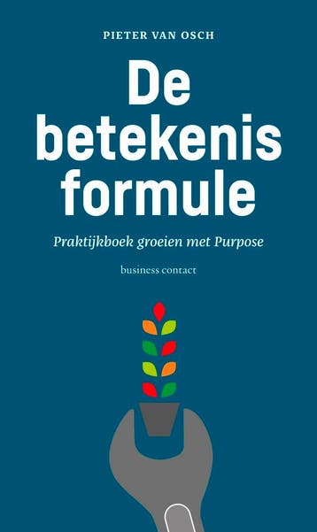De betekenisformule - Pieter van Osch 9789047012078, Verzenden, Gelezen, Pieter van Osch