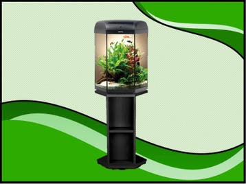 Hexa 60 aquarium set compleet inclusief meubel, Dieren en Toebehoren, Vissen | Aquaria en Toebehoren, Verzenden, Nieuw