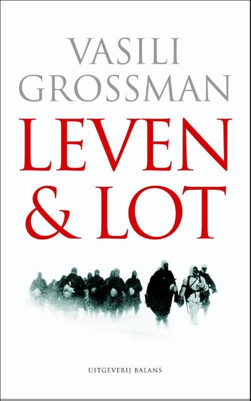 Leven en lot 9789050188968 Vassili Grossman, Boeken, Romans, Zo goed als nieuw, Verzenden
