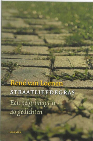 STRAATLIEFDEGRAS - R. van Loenen 9789023992912, Verzenden, Gelezen, R. van Loenen