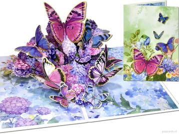 3D Pop-up Kaart Kleurrijke Vlinders & Hortensias – Een..., Verzenden, Nieuw