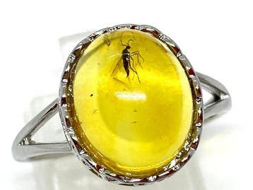 Baltische barnsteenring met insect - heldere ovale