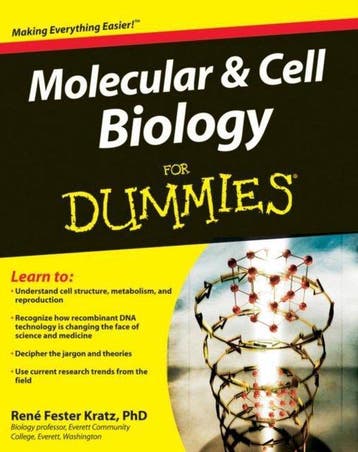 Molecular & Cell Biology For Dummies - Rene Fester Kratz, Verzenden, Gelezen, Rene Fester Kratz