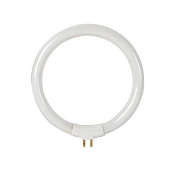 Reservelamp voor loeplamp | Toolland, Verzenden, Nieuw