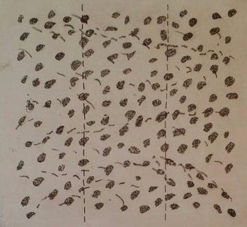 Joan Hernández Pijuan (1931-2005) - Regla de Vida, Antiek en Kunst