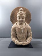 Gandhara Een stucbuste van Boeddha Shakyamuni - 39.5 cm
