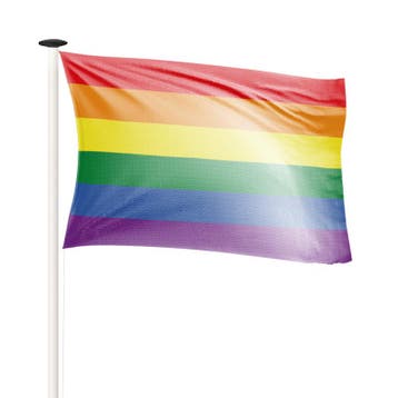 NR 554: Regenboogvlag 100x150 cm (voor gevelstok), Nieuw
