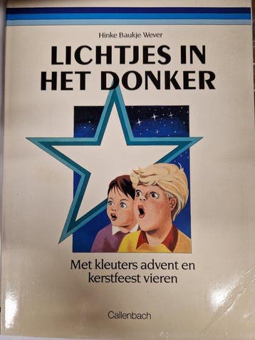 Lichtjes in het donker - Hinke Baukje Wever 9789026601453, Verzenden, Gelezen, Hinke Baukje Wever