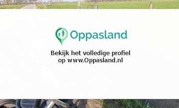 Nikita zoekt een oppas in Zwolle voor 2 kinderen op vrijd..., Vacatures, Vacatures | Schoonmaak en Facilitaire diensten