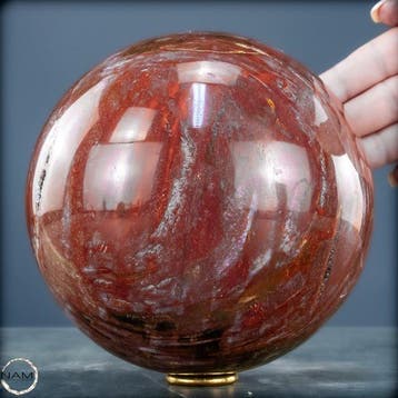 Natuurlijk versteend hout als bol – Intense houtnering in