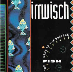 cd - Irrwisch - The Fish Came To The Surface, Verzenden, Zo goed als nieuw