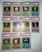 Pokémon - 11 Card - 1999 Pokémon Base-Holo-Cards Graded PSA, Nieuw