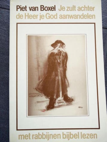 JE ZULT ACHTER DE HEER JE GOD AANWA - V.BOXEL 9789030402503, Verzenden, Gelezen, V.BOXEL